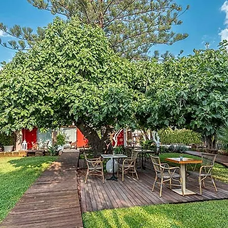 Boho (adults Only) 3*