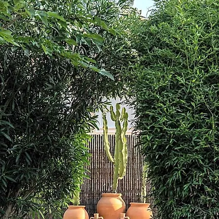 Boho (adults Only) Hotel Denia