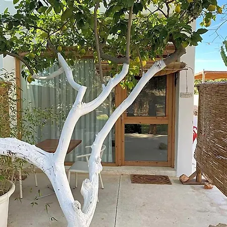 Hotel Boho (adults Only) Denia