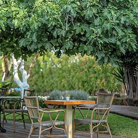 Boho (adults Only) 3* Denia