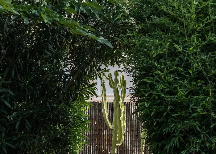 Hotel Boho (adults Only) 3*